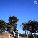 이여발묘 이미지