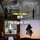 청남대별장푸드 | 청주벚꽃여행 후기 - 국립청주박물관 청남대 무심천벚꽃축제 정북동토성 충청도벚꽃명소