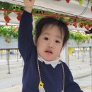 다연농장 이미지