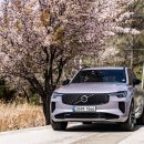 볼보 XC90 B6 시승기, T8 사이에서 고민된다면 꼭 봐야 할 포인트