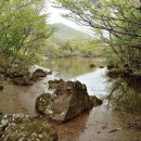 아린ALIN