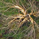 명광한의원 이미지