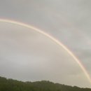 무지개가 떴길래용🌈 이미지