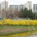 학마을한진아파트 네이버블로그