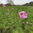 화영농장2 이미지