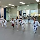 지축 바른태권도장 이미지