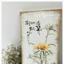 빛깔캘리그라피 이미지