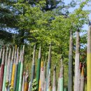 단양(부산)충전소/주유소 이미지