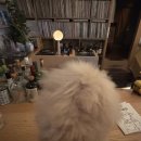 대매농장 이미지