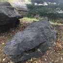 학평리 고인돌 이미지