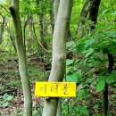 지오지