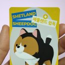 압구정 팝업스토어 오모오모 하우스, 강아지 동반 다녀온 후기!
