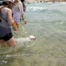 멍클래스 이미지