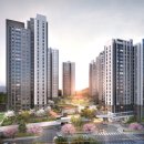 더포레C 이미지