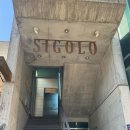 시고로 | 아늑한 분위기에서 캐주얼하지만 완성도 높은 양식을 즐기고 싶다면💕청담동 양식집 시고로 후기