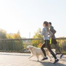 두타동물병원 이미지