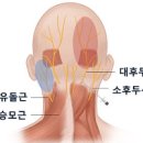 오른쪽 귀뒤 통증 원인 6가지 이미지