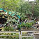 계곡식당 이미지