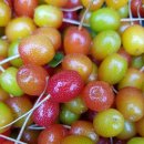 보리수한의원 이미지