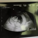 판교연세산부인과의원 이미지