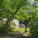 숲속의안뜰 이미지