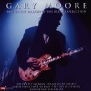 Gary Moore - Still Got The Blues 이미지