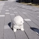 강풍 이미지