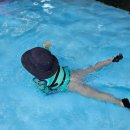 자두마을 이미지