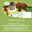 공주, 시나브로 치유길 힐링여행 1박2일 with 프립(FRIP) 후기😍