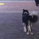 씨유대전신탄진점 | 떨이 1월 일상