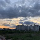 욜로커피로스터스 이미지