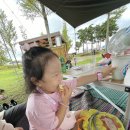 대저수문공원 이미지