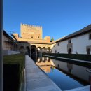 무인텔숲속의궁전3 | 그라나다 알함브라 궁전 투어 추천 마이리얼트립 내돈내산 후기