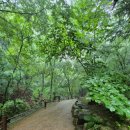 구곡폭포 캠핑장 이미지