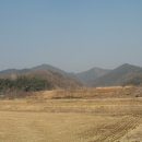 돌터미