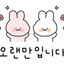 로이슨(Royson) 이미지