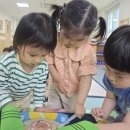 [해솔반] 5월 3주 영어사진 이미지