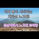 이제 봄이 시작된 지리산 노고단과 진달래 이미지