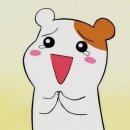 타피오스커피브루어
