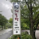 전라도 담양 | 우중 글램핑 (거목 글램핑)