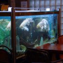 카페드파리 명동2호점 이미지