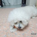 뚱땅뚱땅 이미지