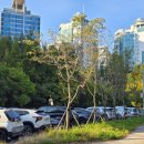 송도 새아침공원 새아침테니스장 이미지