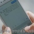 멋쟁이토마토