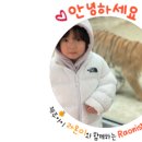 섭지향요리하는강태공