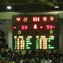 동부체육관 Daum카페