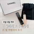 까멜리아 | 샤넬 르 윌 까멜리아 후기 | 손끝까지 완성하는 명품 네일 케어