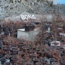 베리베리굿봉산마을 이미지