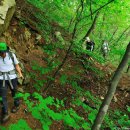 오색초등학교 이미지