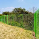 백선바오로의집 이미지